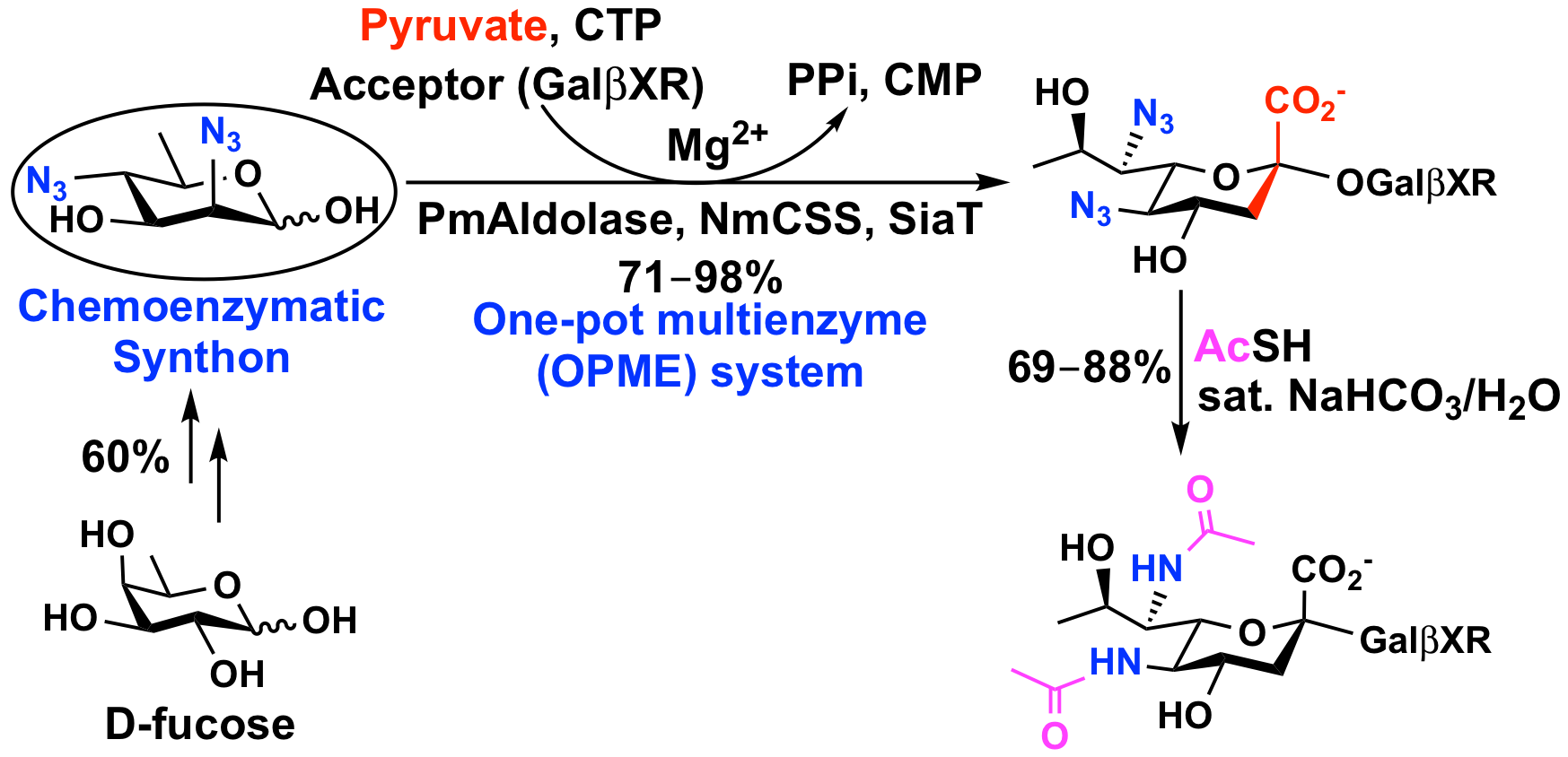 The top left shows a chemoenzymatic synthon easily accessible by chemical synthesis; it can be readily converted into complex carbohydrate analogs (bottom right) using the multi-enzyme synthetic method.