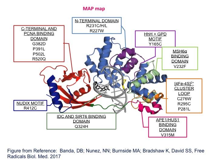 MAP Map