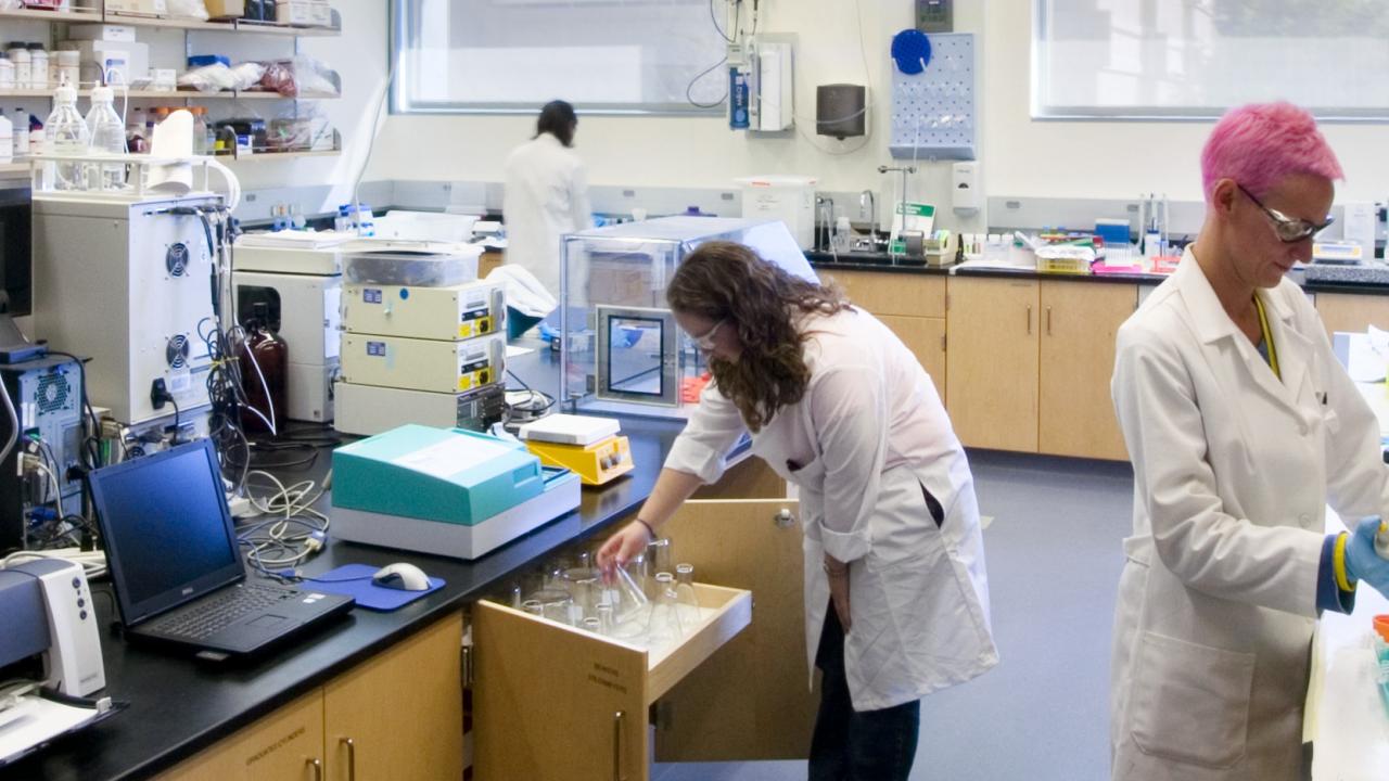 Faculty Research Chemistry