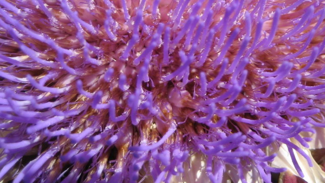 B.S. in Applied Chemistry, Environmental Chemistry