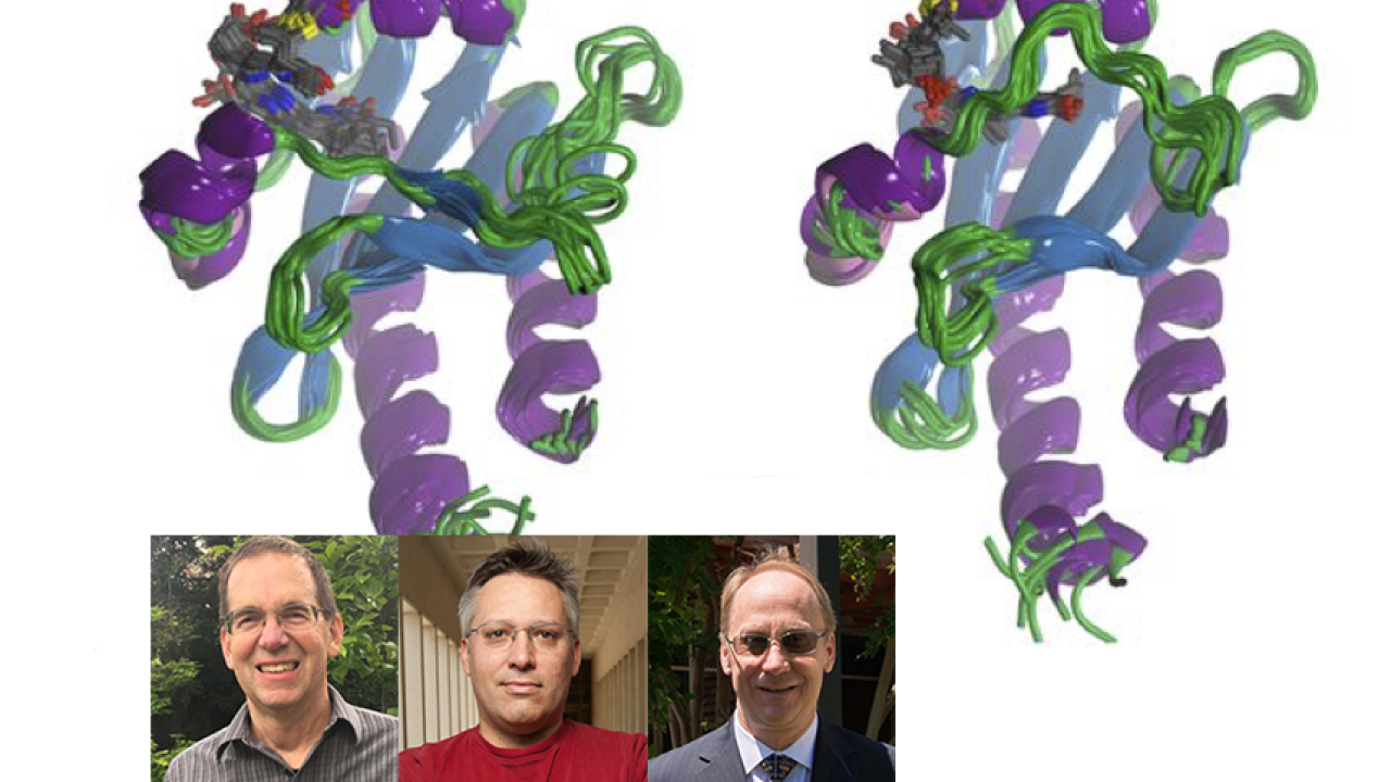 Structural ensembles of dark state (left) and photoproduct (right)