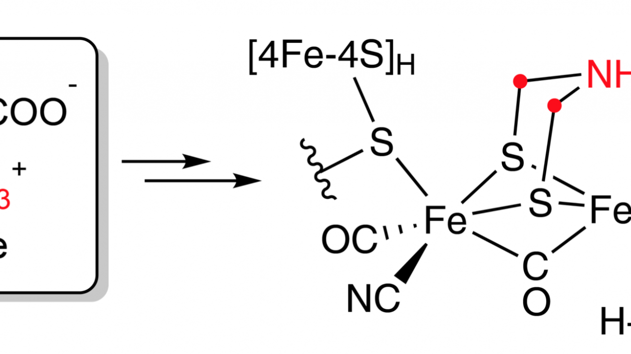 Azadithiolate synthesis mechanism