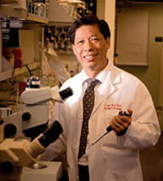 Kit Lam