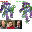 Structural ensembles of dark state (left) and photoproduct (right)