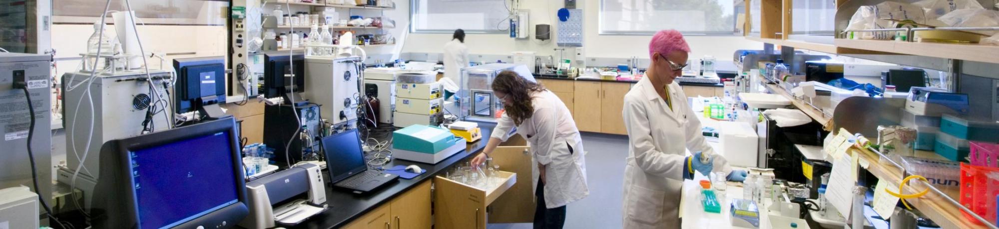 Lab