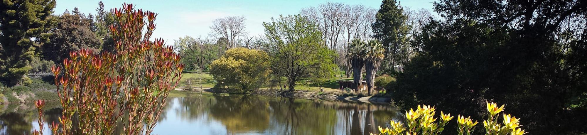 UC Davis arboretum